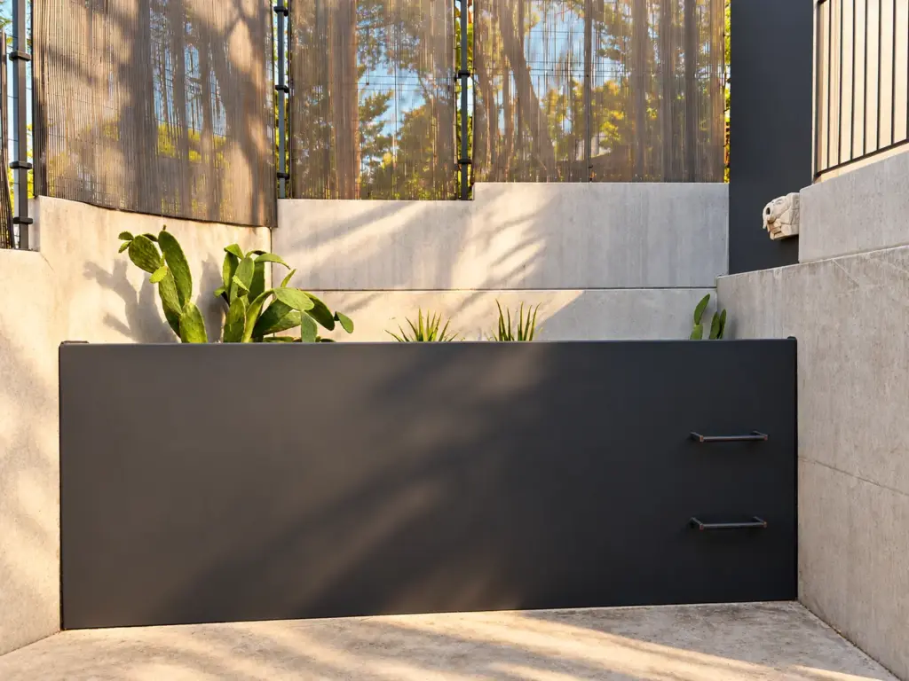 Patio moderno con panel oscuro y cactus